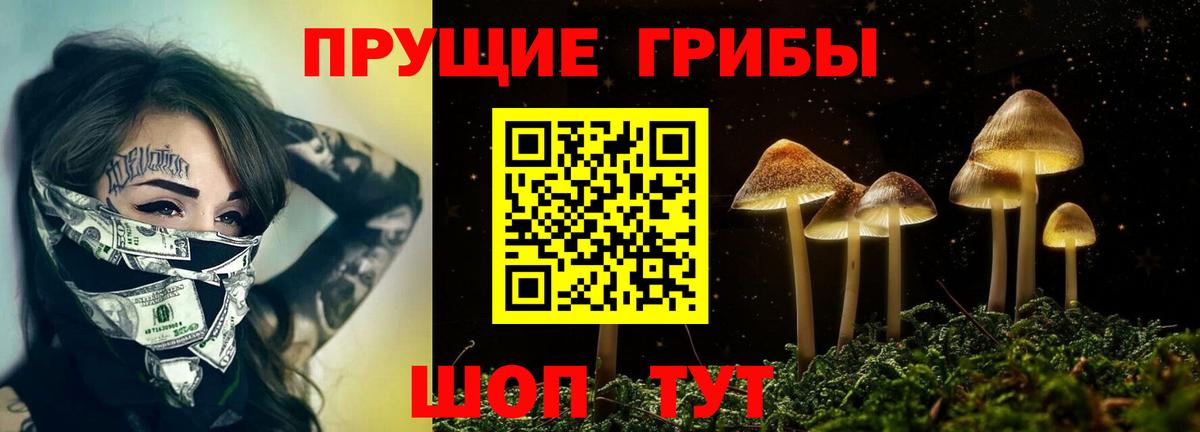 Гулькевичи  Галлюциногенные грибы ЛСД  Вход с VPN 